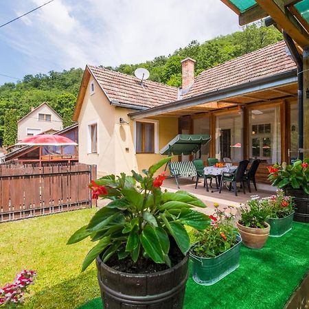 Aranylaz Vendeghaz Apartment Visegrad Luaran gambar